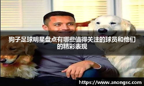 狗子足球明星盘点有哪些值得关注的球员和他们的精彩表现