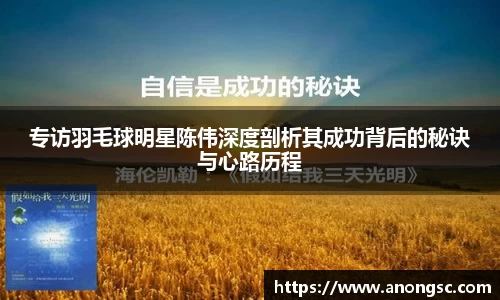 专访羽毛球明星陈伟深度剖析其成功背后的秘诀与心路历程